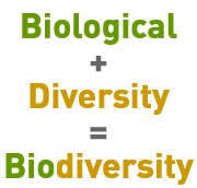 Biological + Diversity = BIOdiversity